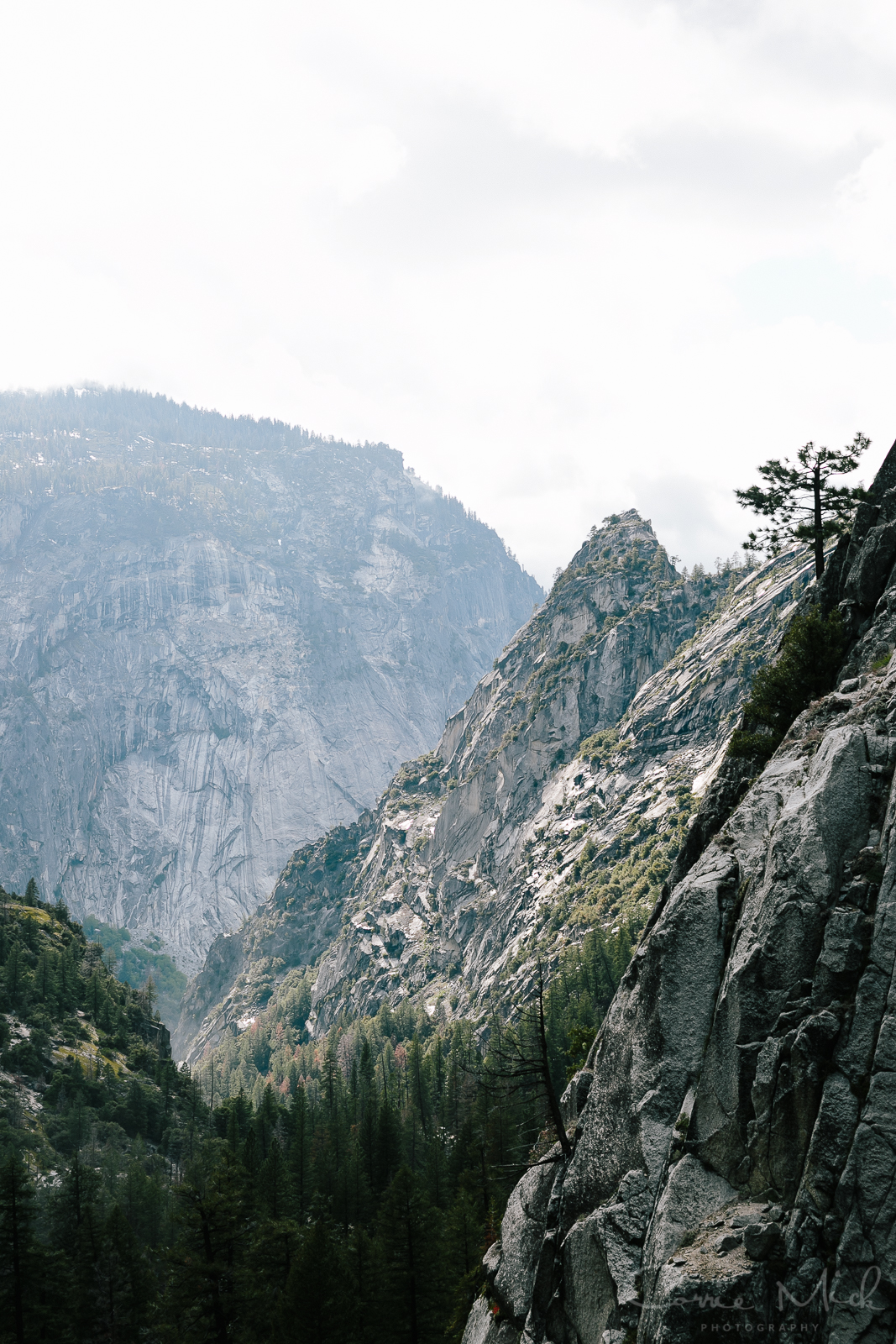 Yosemite April 2016 - Corrie Mick Photography-81.jpg