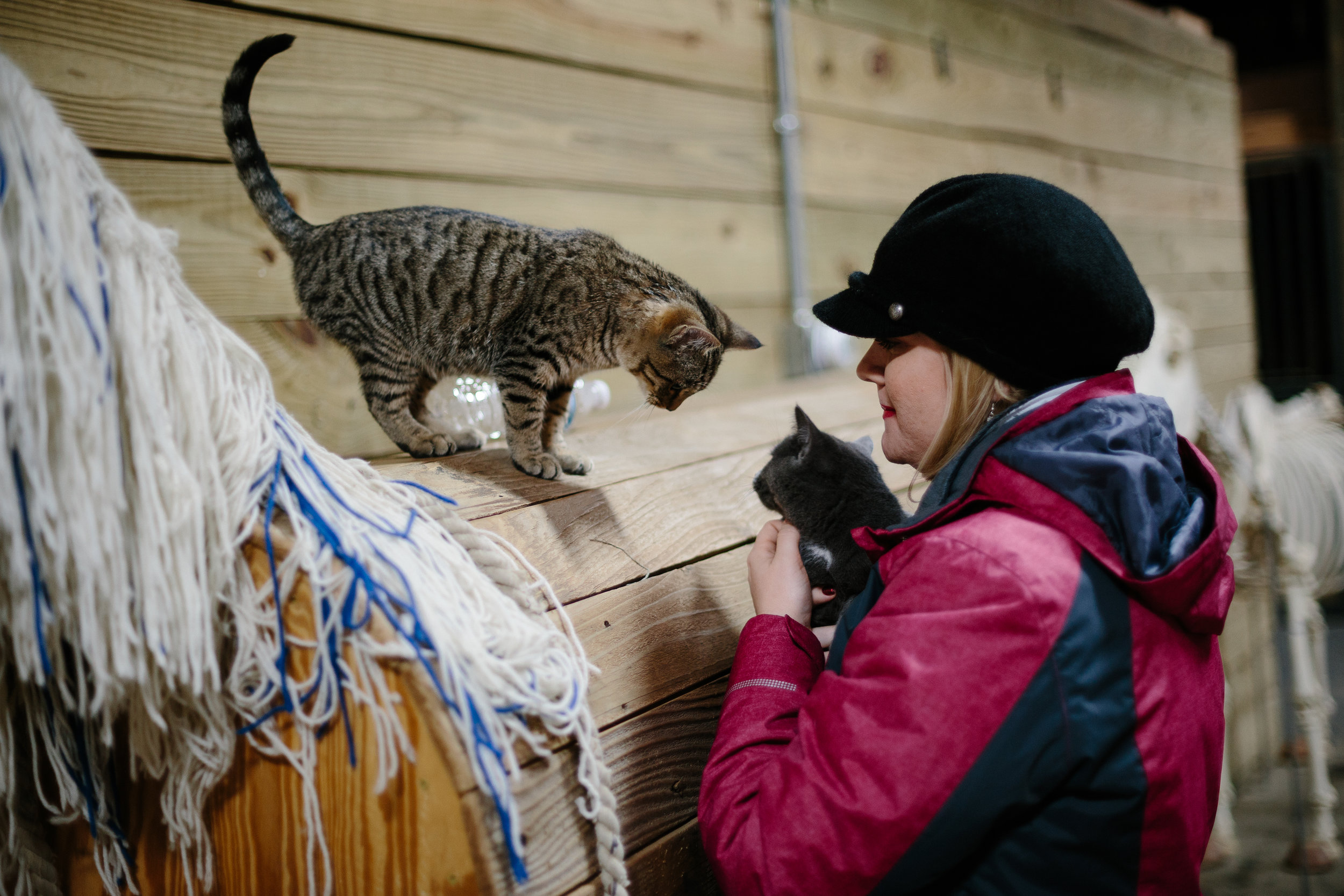 Jess & Shea at the Horse Barn in the Snow - Corrie Mick Photography-9.jpg