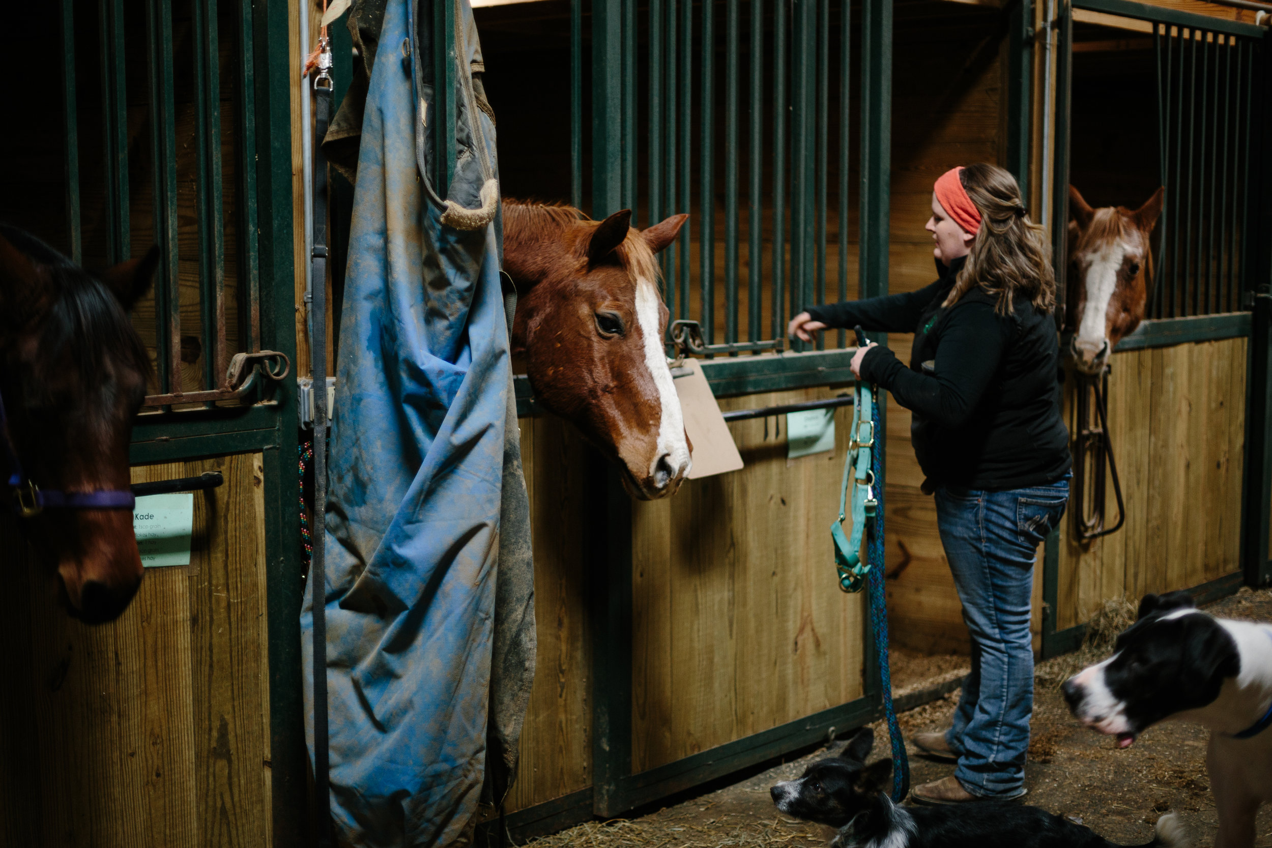 Jess & Shea at the Horse Barn in the Snow - Corrie Mick Photography-11.jpg