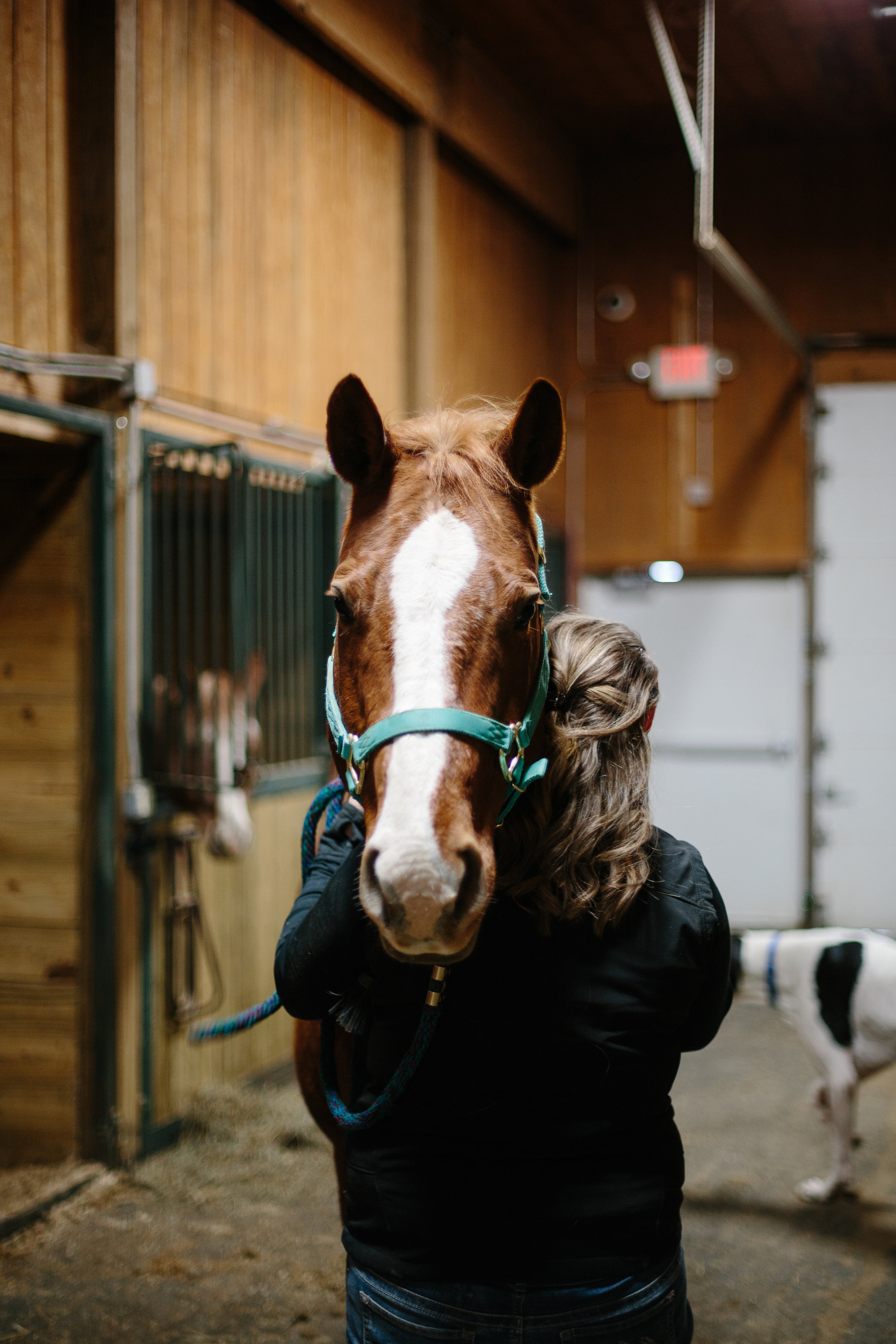 Jess & Shea at the Horse Barn in the Snow - Corrie Mick Photography-13.jpg