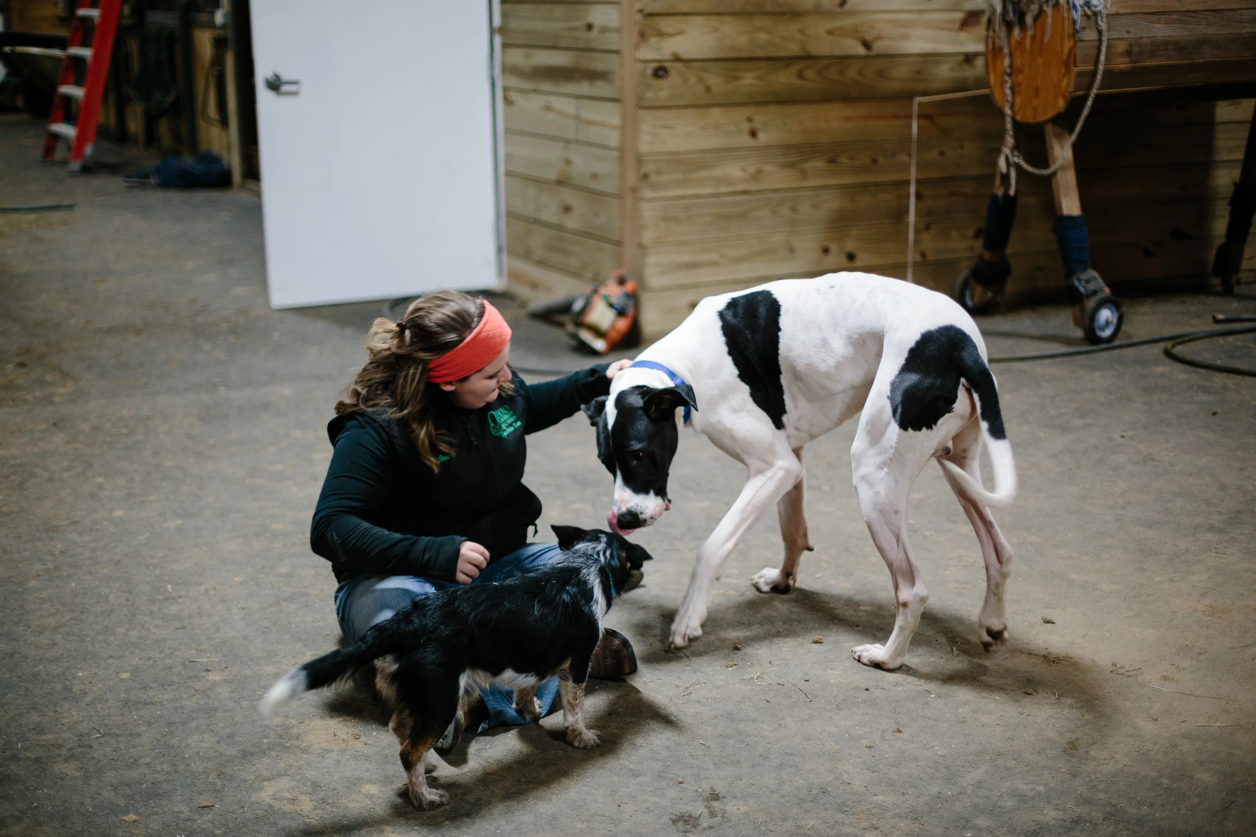 Jess & Shea at the Horse Barn in the Snow - Corrie Mick Photography-19.jpg