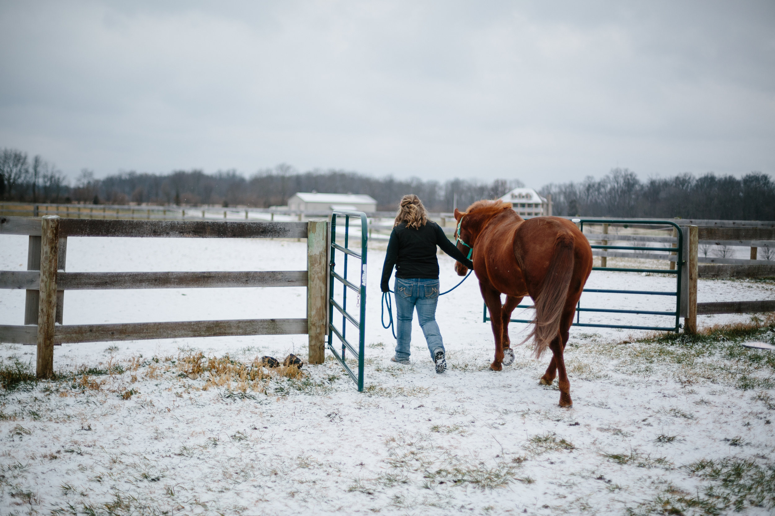 Jess & Shea at the Horse Barn in the Snow - Corrie Mick Photography-30.jpg