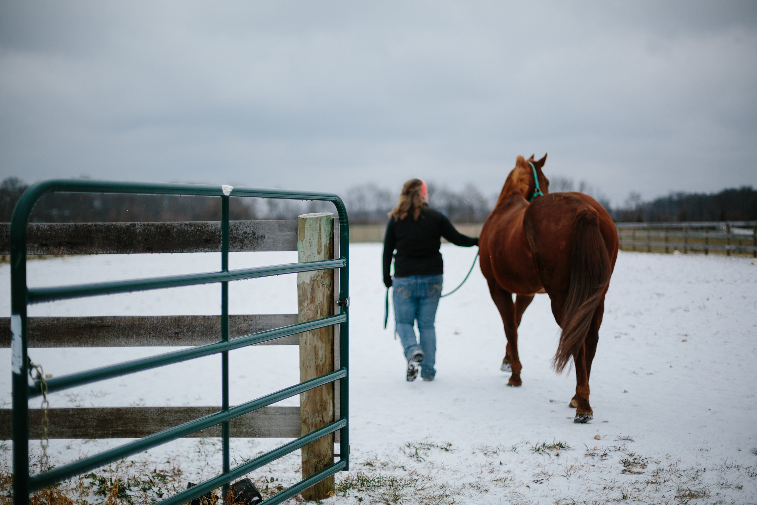 Jess & Shea at the Horse Barn in the Snow - Corrie Mick Photography-31.jpg
