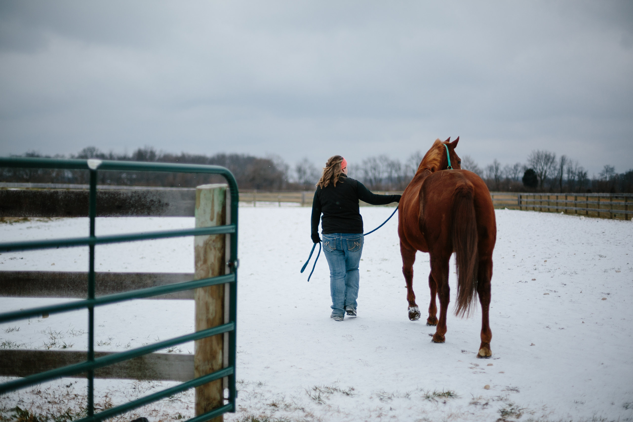 Jess & Shea at the Horse Barn in the Snow - Corrie Mick Photography-32.jpg