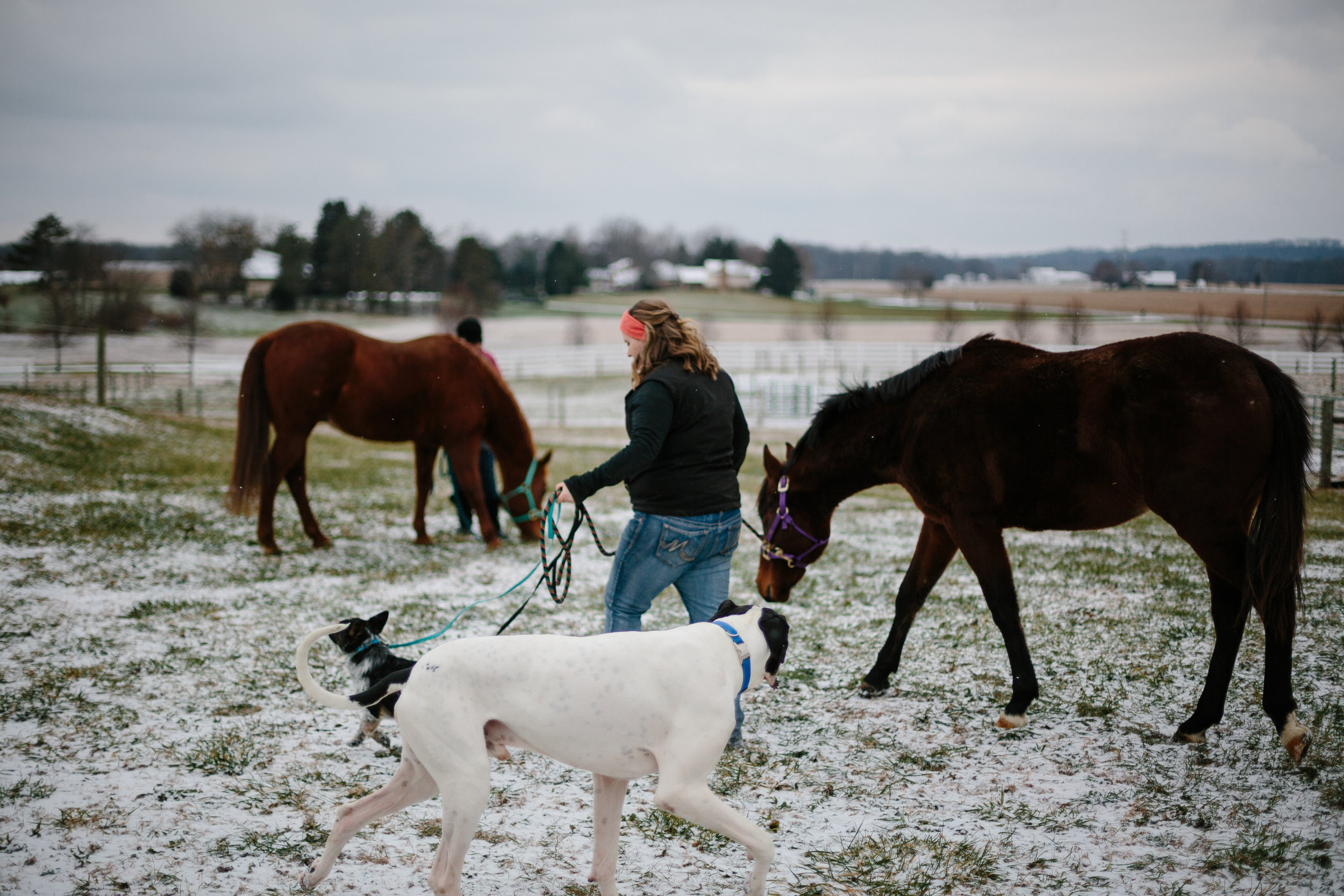 Jess & Shea at the Horse Barn in the Snow - Corrie Mick Photography-42.jpg