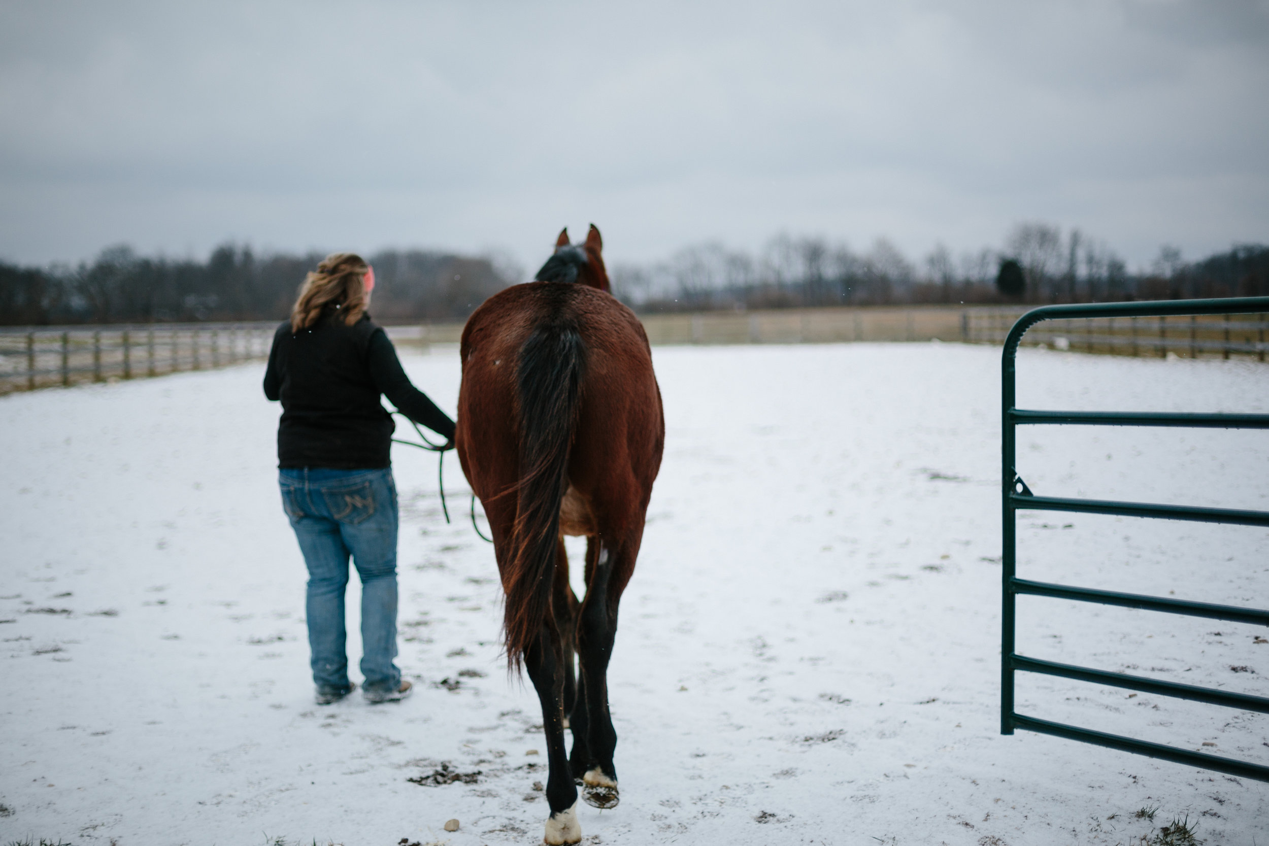 Jess & Shea at the Horse Barn in the Snow - Corrie Mick Photography-44.jpg