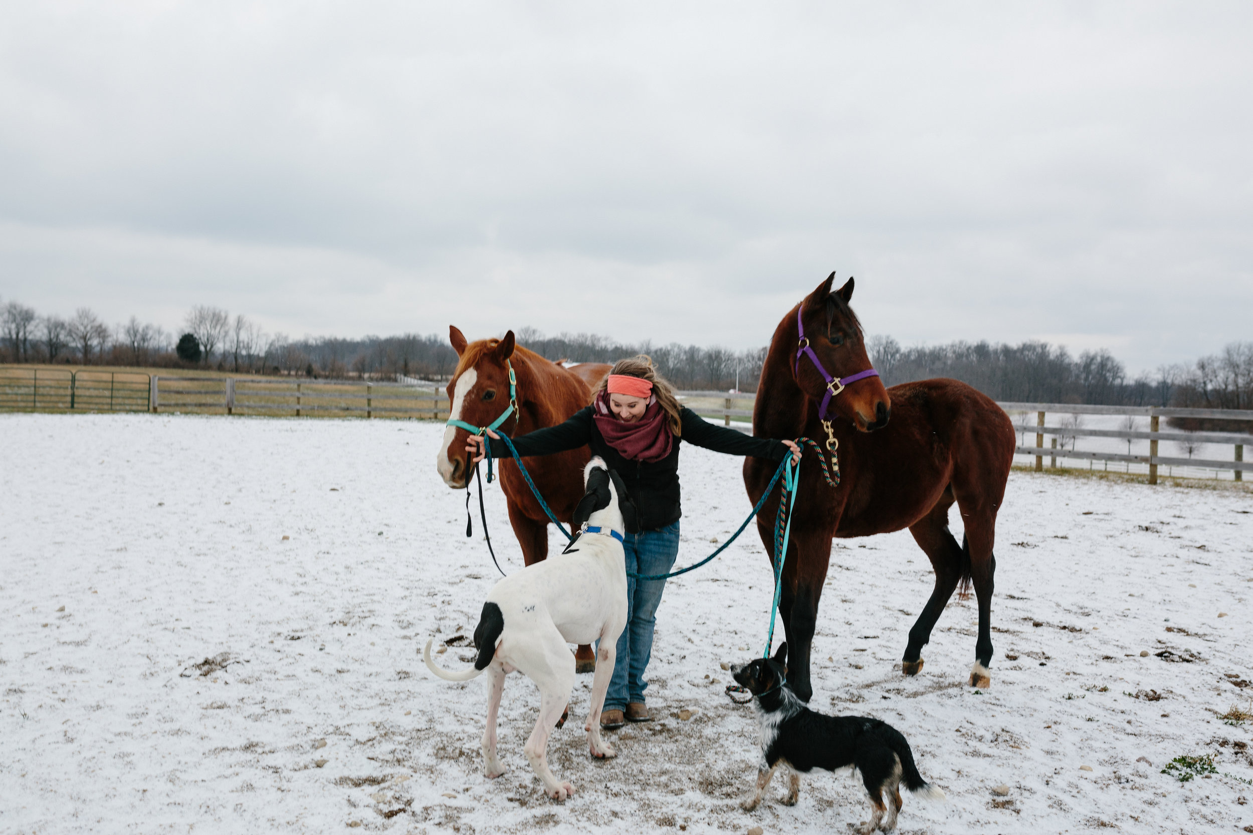 Jess & Shea at the Horse Barn in the Snow - Corrie Mick Photography-83.jpg