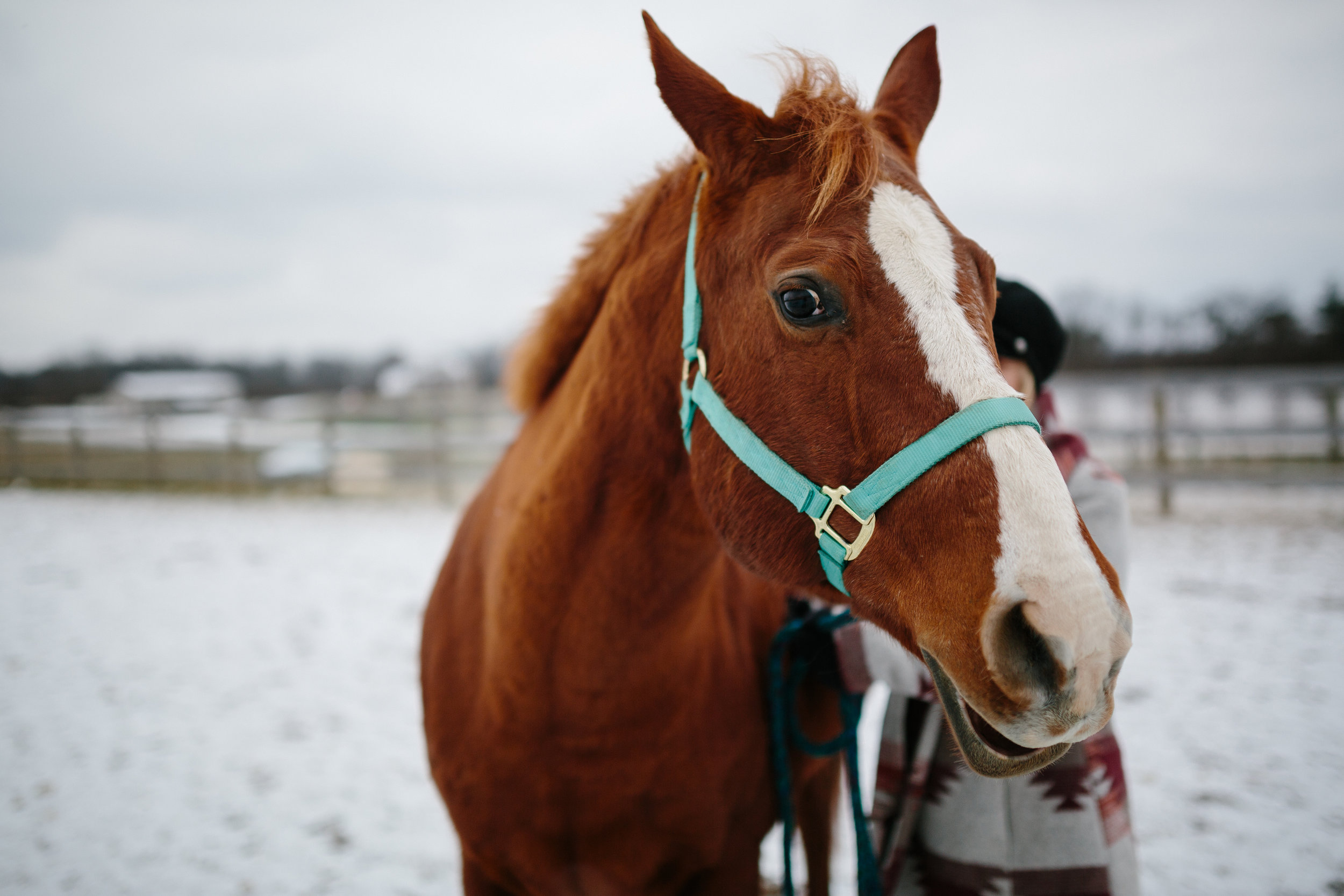 Jess & Shea at the Horse Barn in the Snow - Corrie Mick Photography-99.jpg