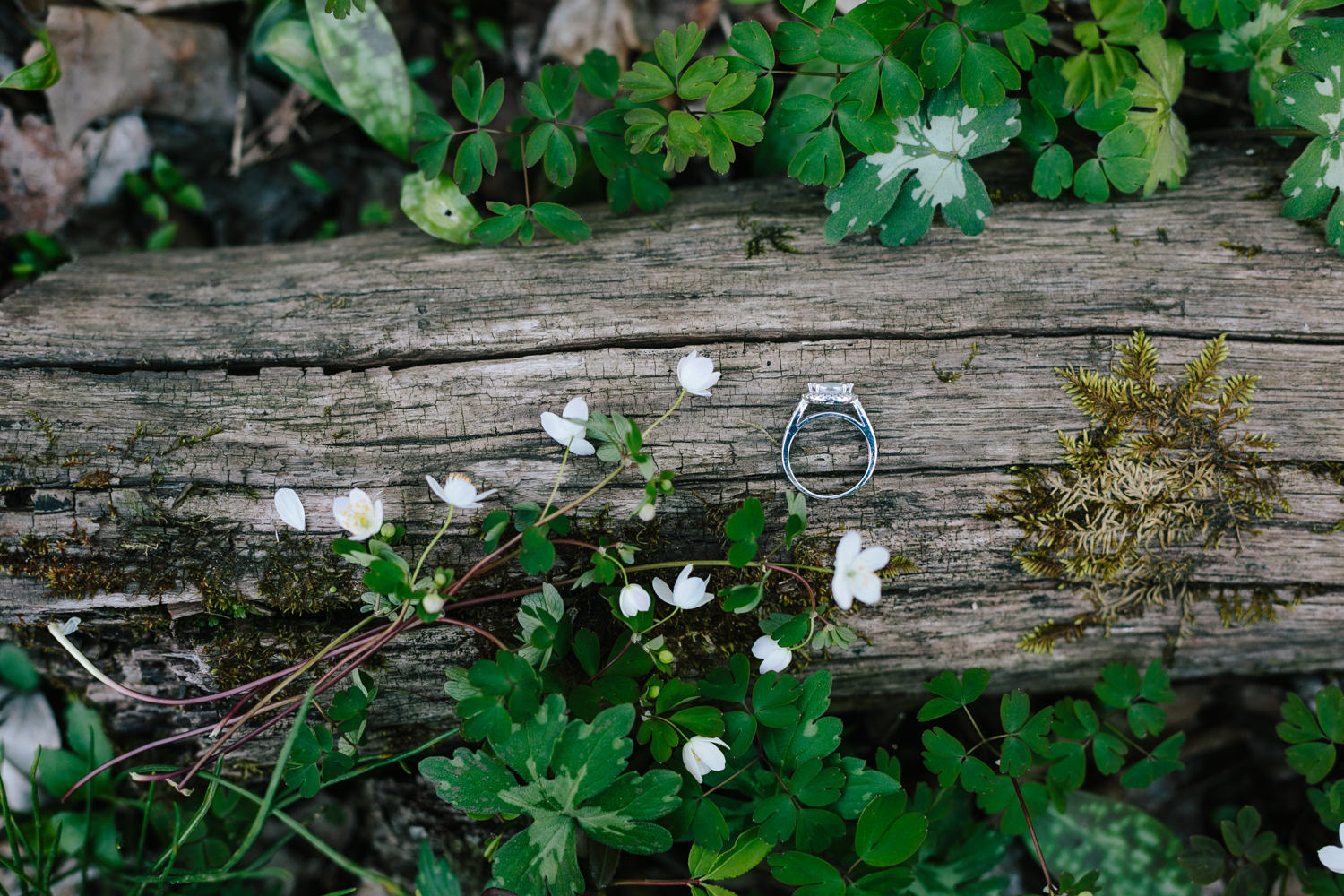 Adventure Filled Engagement Session by Portland, Oregon Wedding Photographer Corrie Mick Photography-70.jpg