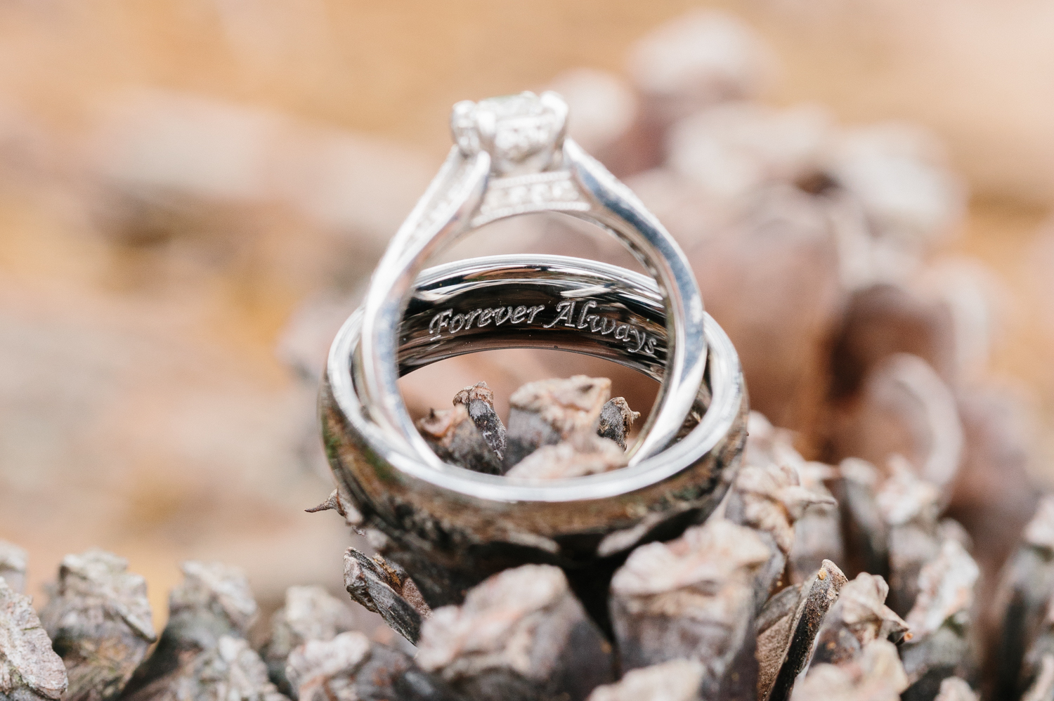 Fun, Happy Spring Wedding by Corrie Mick Photography-10.jpg
