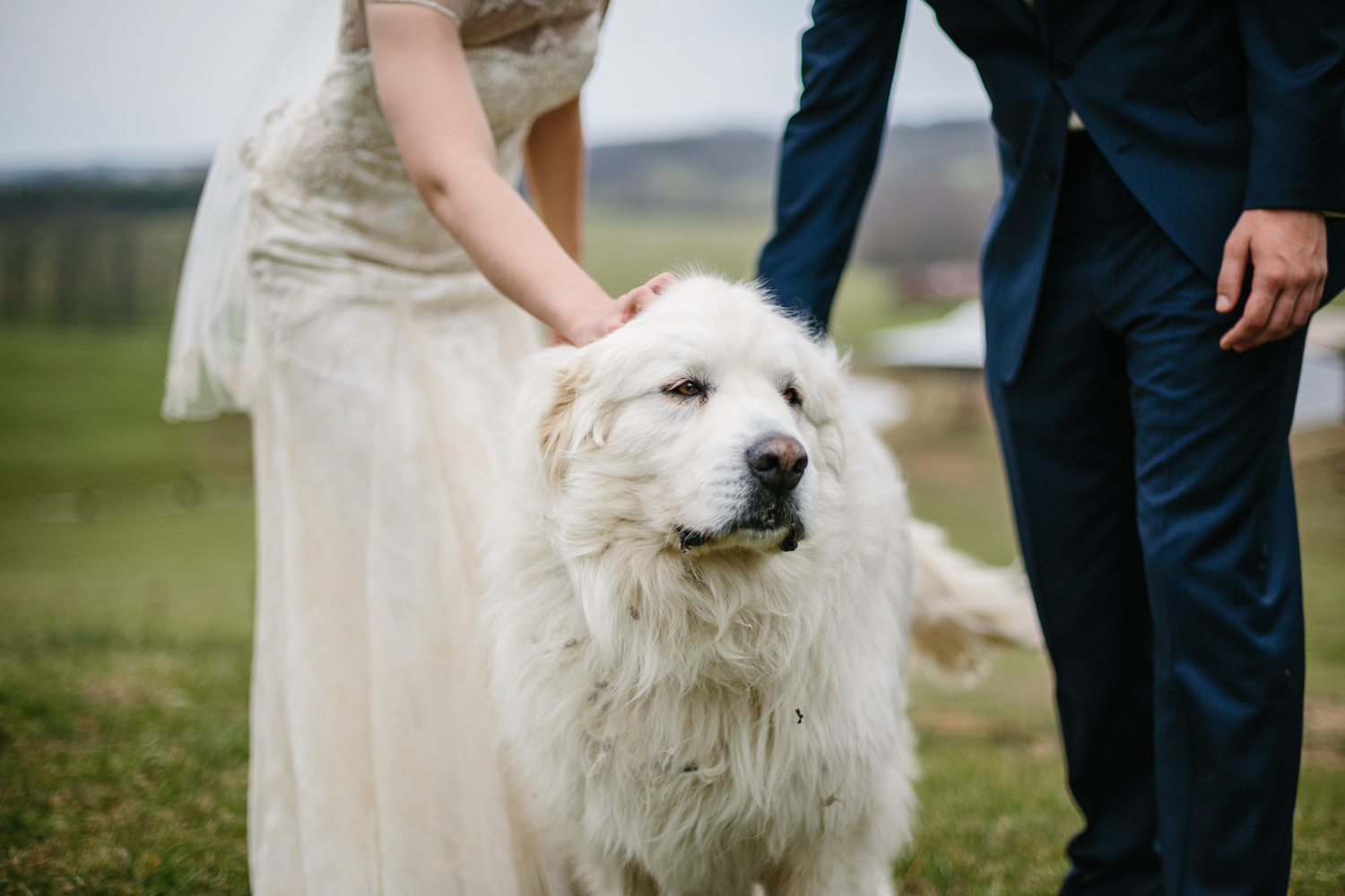 Fun, Happy Spring Wedding by Corrie Mick Photography-113.jpg