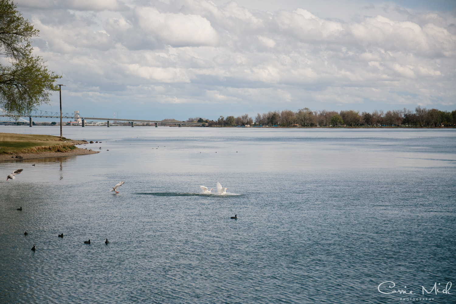 Pasco, Washington Intimate Mick Wedding - Portland, Oregon Corrie Mick Photography-140.jpg