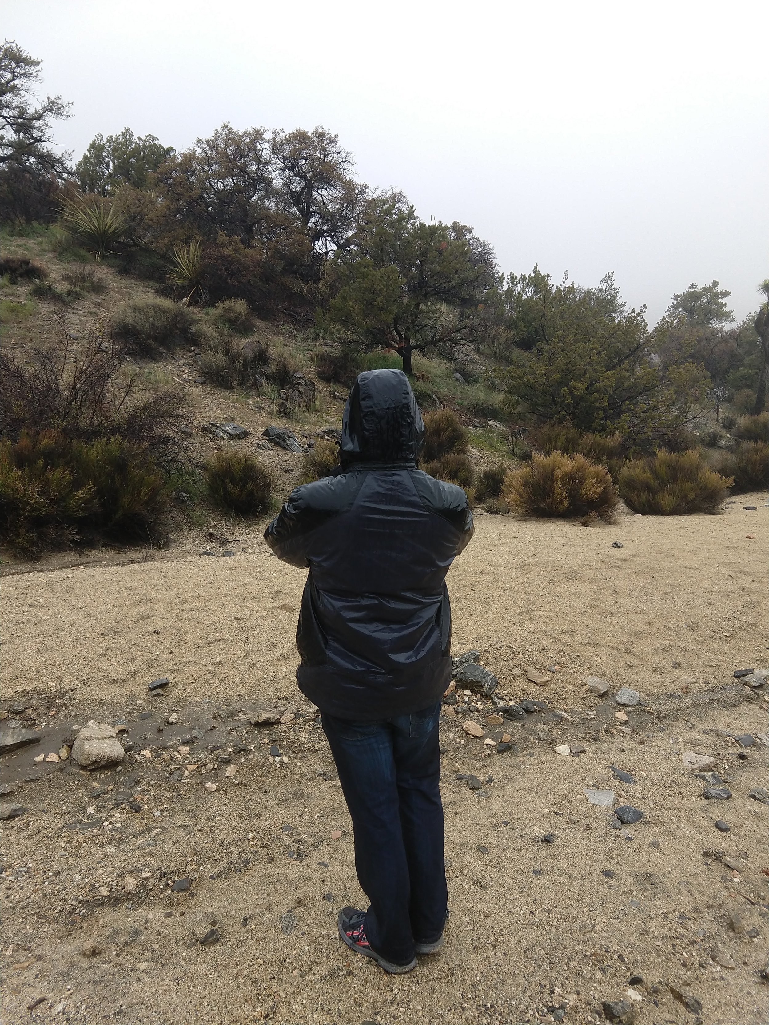 Hiking Joshua Tree in the Monsoon Rains and Getting Completely Soaked.jpg