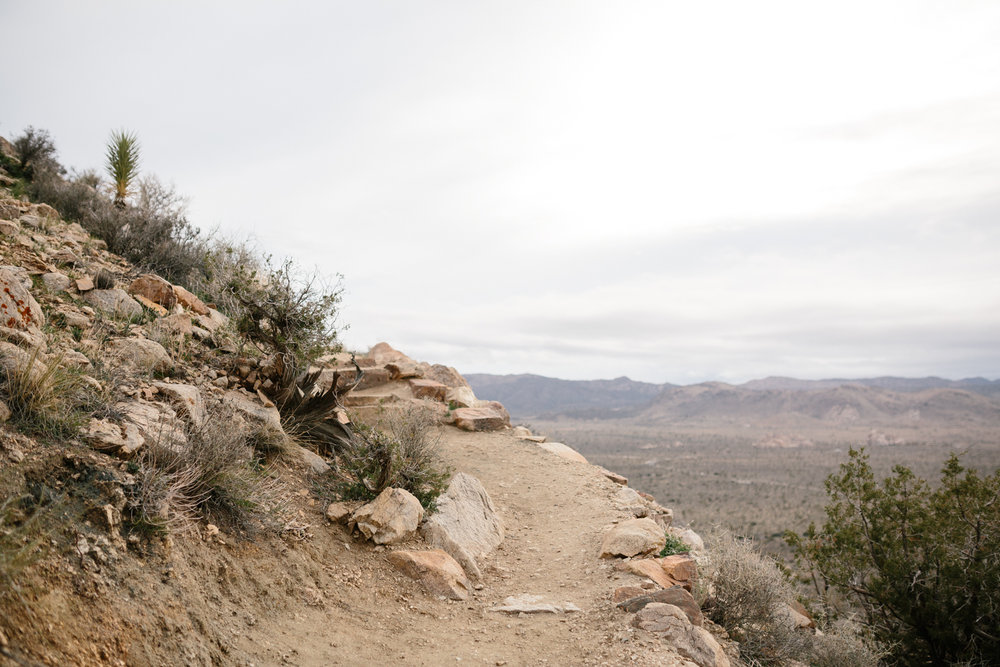 Joshua Tree National Park February 13 - Corrie Mick Photography-31.jpg