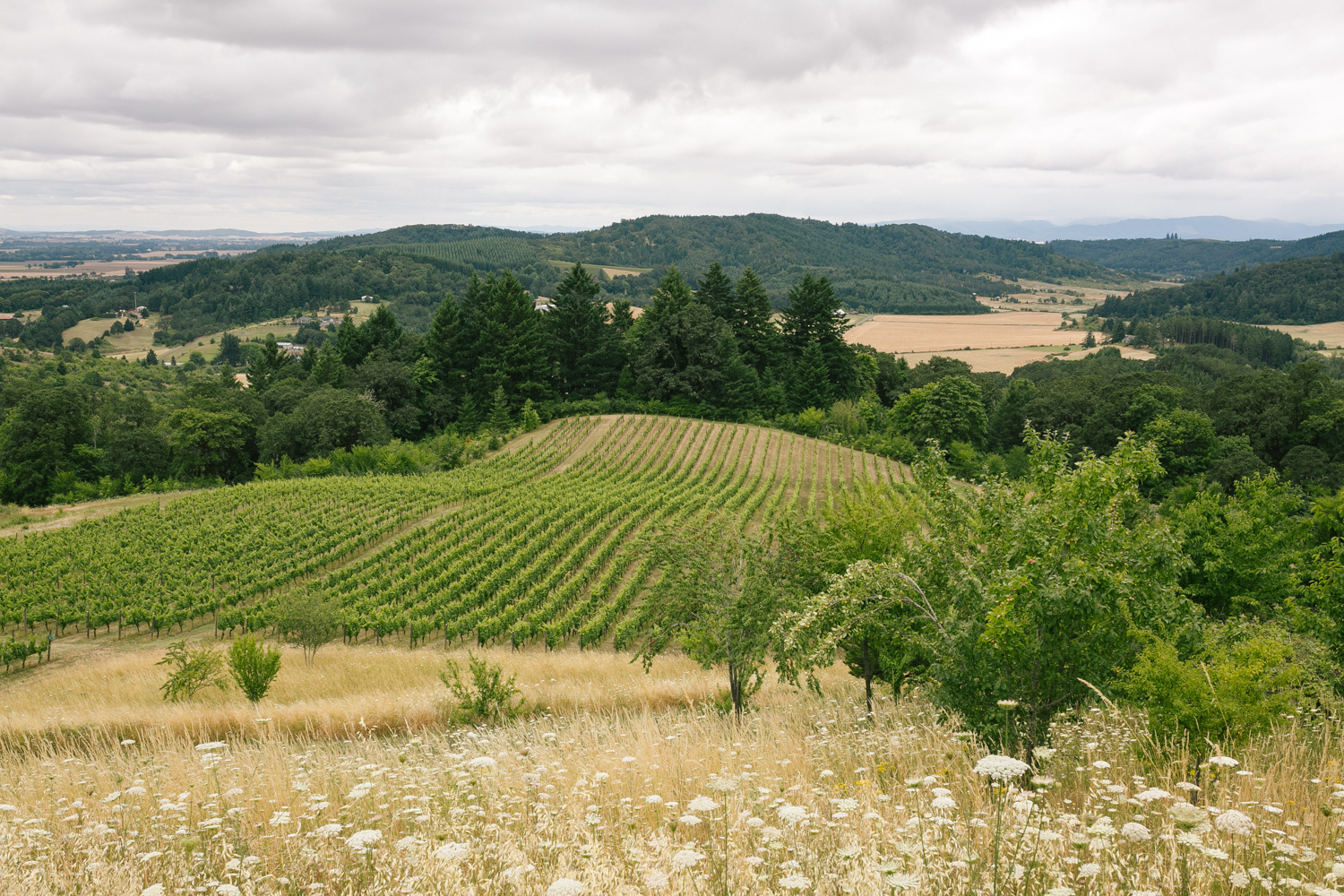 Youngberg Hill Vineyard Wedding in Wine Country Oregon - Corrie Mick Photography-239.jpg