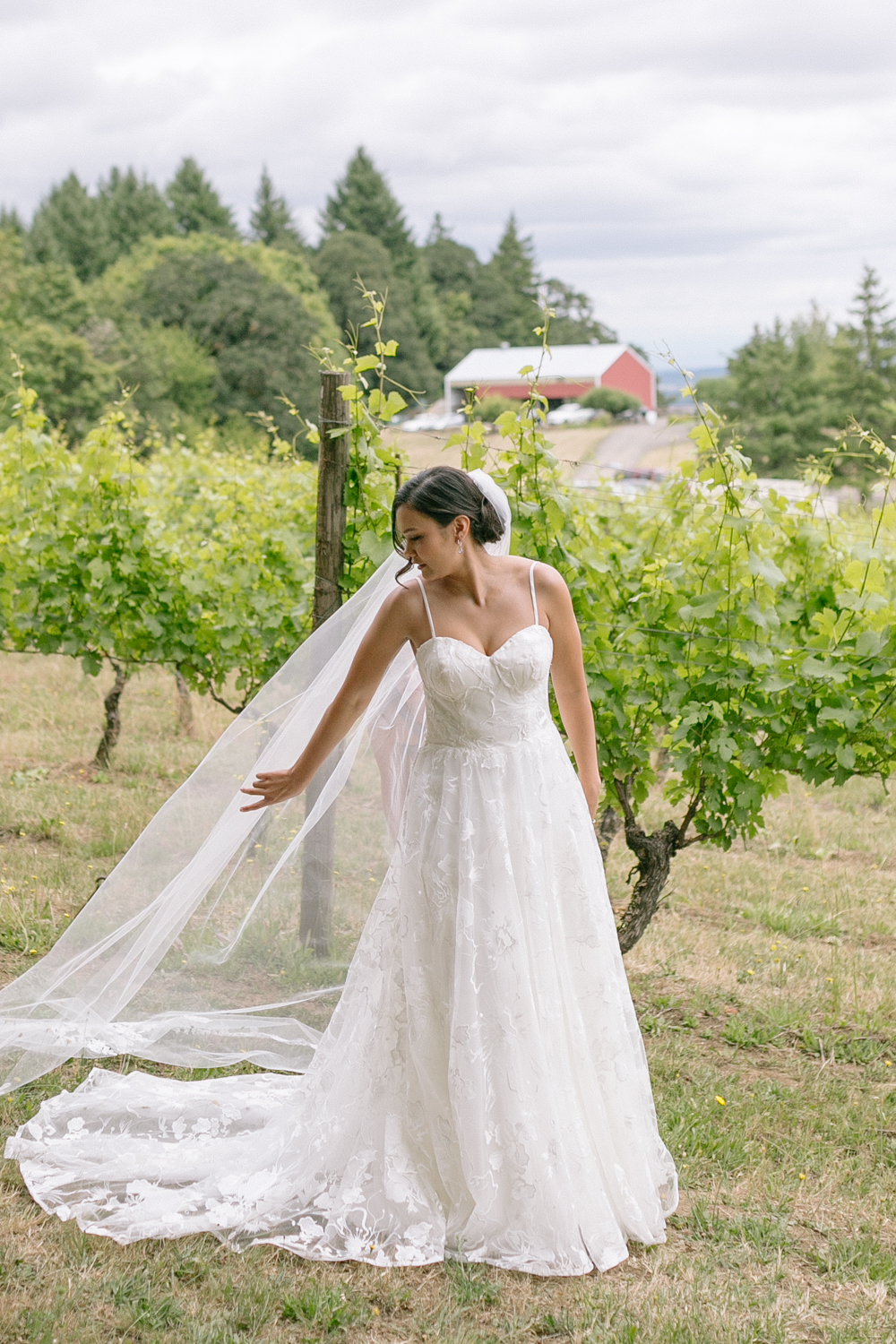 Youngberg Hill Vineyard Wedding in Wine Country Oregon - Corrie Mick Photography-35.jpg