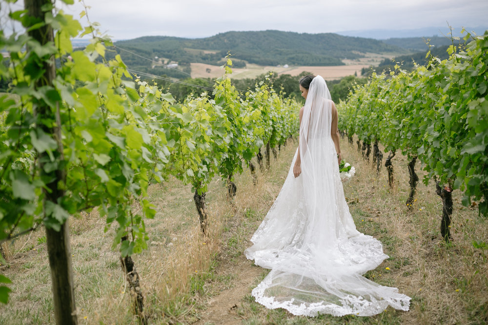 Youngberg Hill Vineyard Wedding in Wine Country Oregon - Corrie Mick Photography-83.jpg