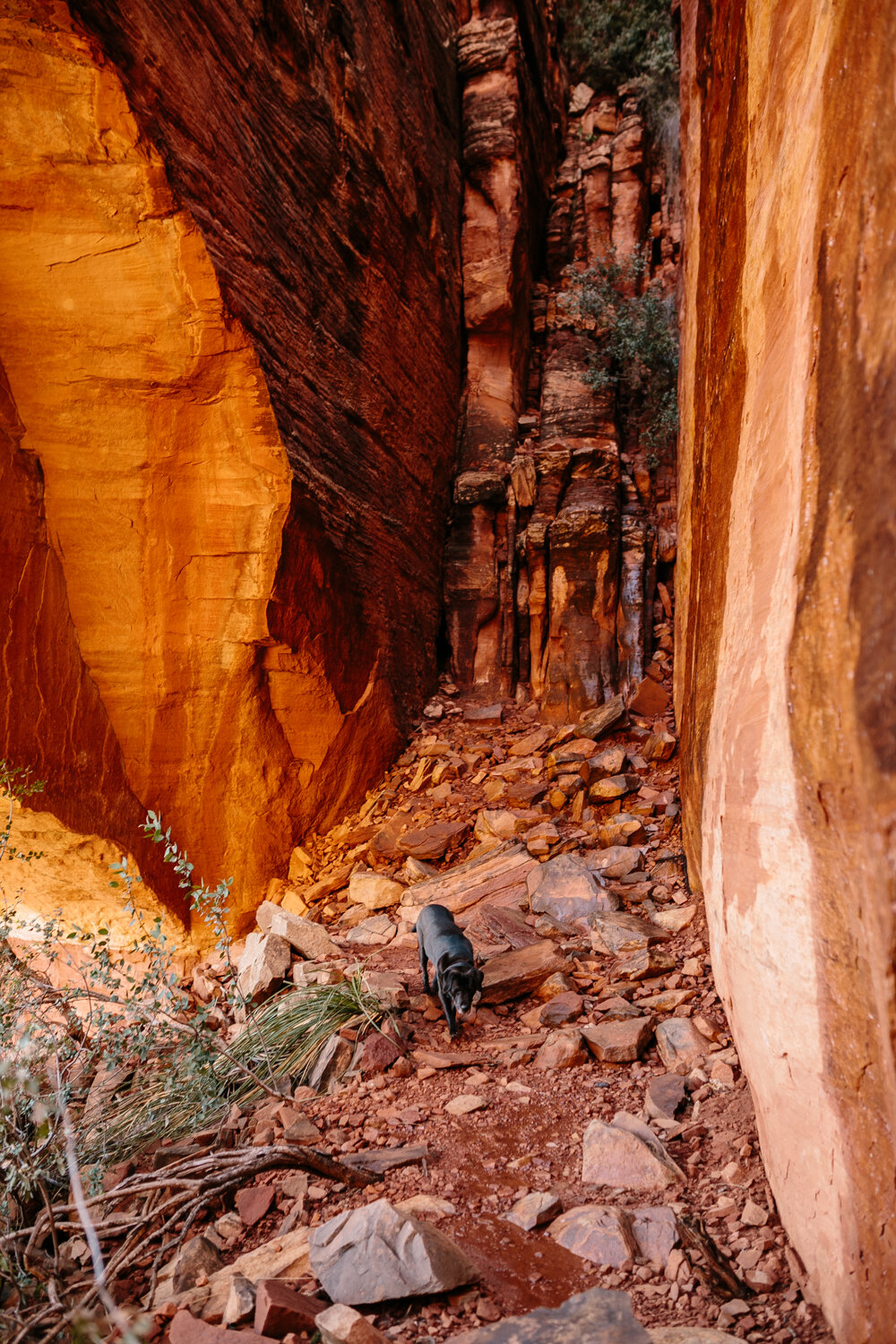 Fay Canyon, Sedona, Arizona - Corrie Mick Photography-75.jpg