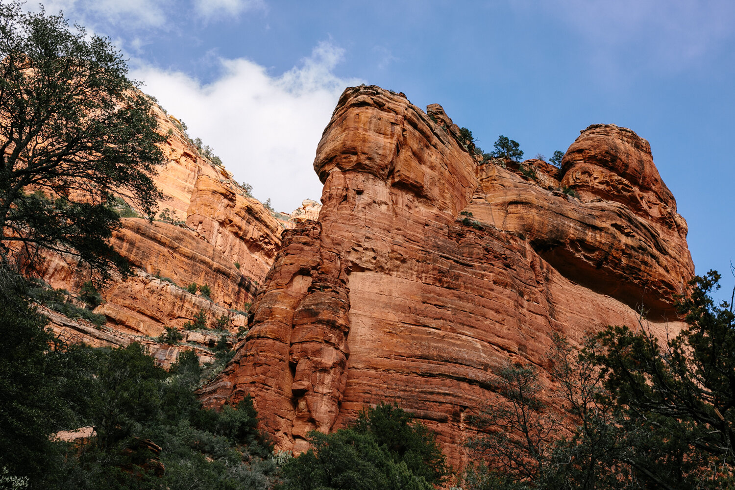 Fay Canyon, Sedona, Arizona - Corrie Mick Photography-6.jpg