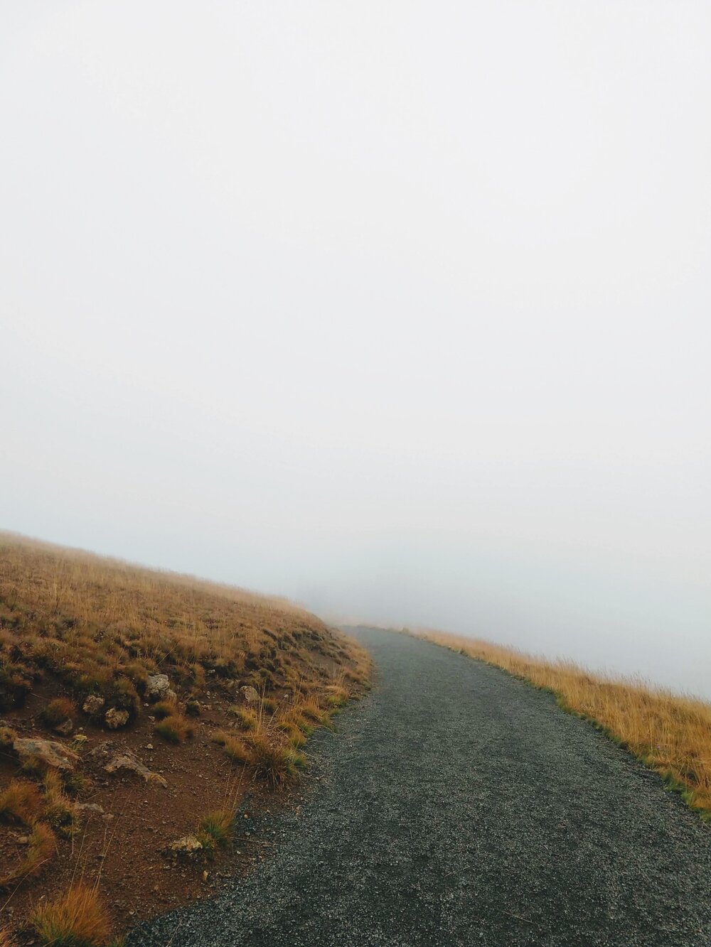 A foggy hike in Olympic National Park, Washington.jpg
