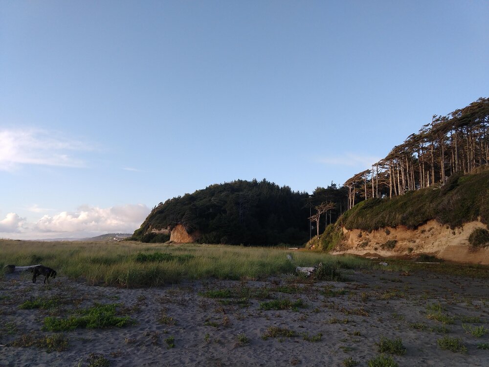 Seabrook, Washington Beach.jpg