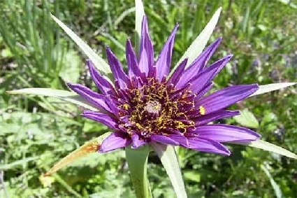 pic1.jpg