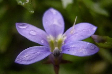 pic3.jpg