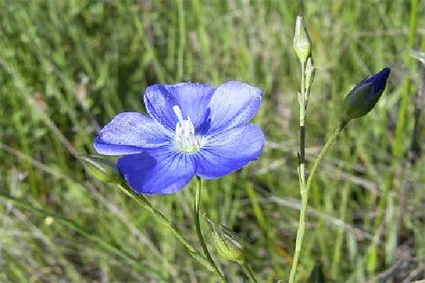 pic8.jpg