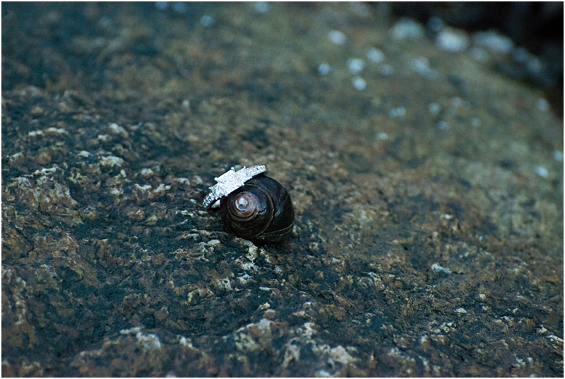 maweddingphotographer, rockport ma, boston wedding photographer