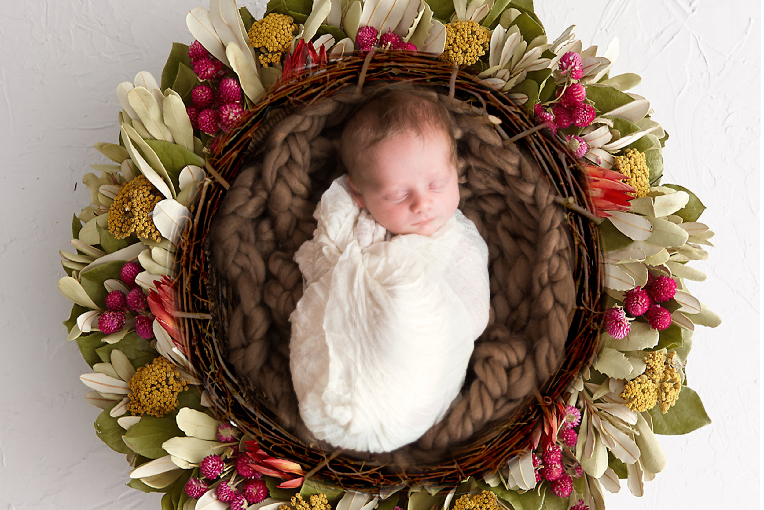  � adriennejeanne.com

MA Portrait & Wedding Photographer Adrienne Jeanne Photography. Photography studio specializing in weddings, newborn and family and commercial portraiture. Available for creative photography throughout New England and Boston. adriennejeanne,com 