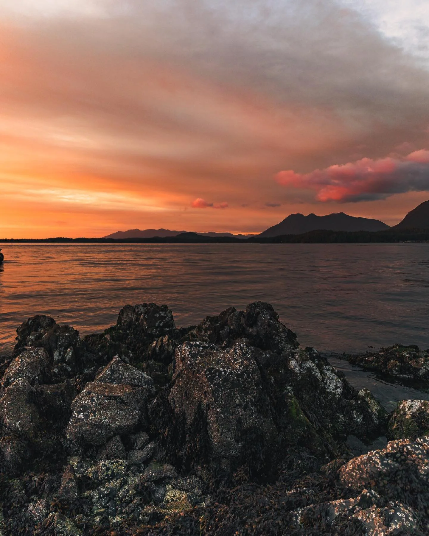 Almost every single trip to Tofino this summer had an incredible sunset to witness, and this is one of them 🌅 I can&rsquo;t wait until the summer weather is back and the days are long&hellip;
.
.
.
.
.
.
#glow #redsky #tofino #redskyatnight #radiant