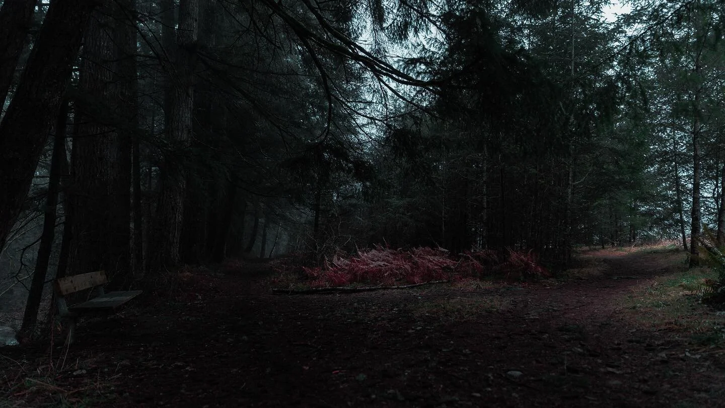 There is a little trail that is just steps away from where I live in Port Alberni which wraps along Cherry Creek. I love going on solo walks either with tunes or just to be alone with my thoughts. This particular spot where the photo was taken doesn&