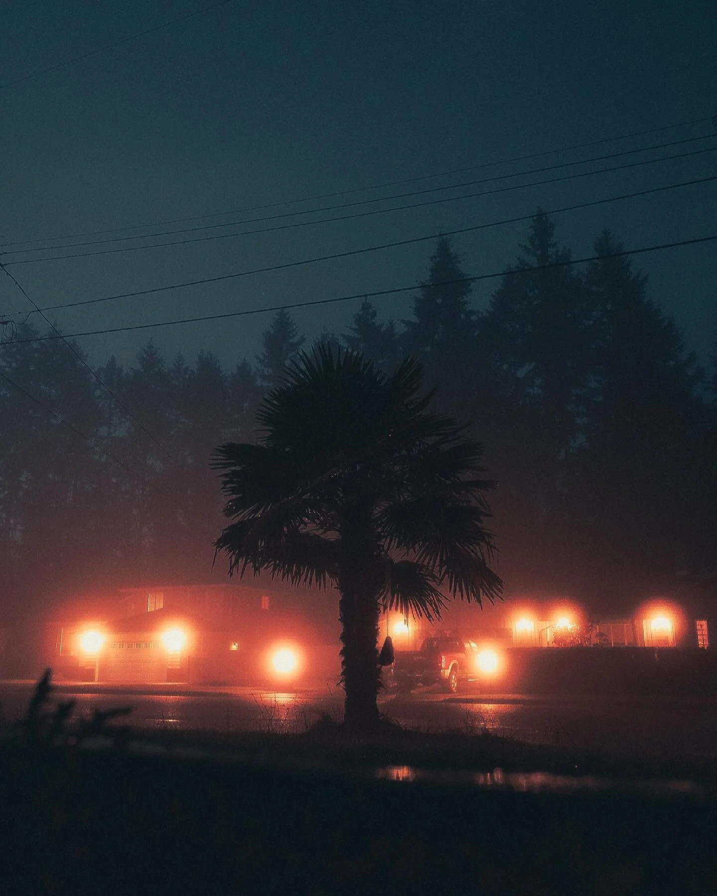 Sticking with the moody theme from yesterday! (Thanks for the love, by the way 🙏🏻 ) Here&rsquo;s a picture of the palm tree out front of my house from the same night 🌴 It&rsquo;s pictures like this that make me want to make artworks for album cove
