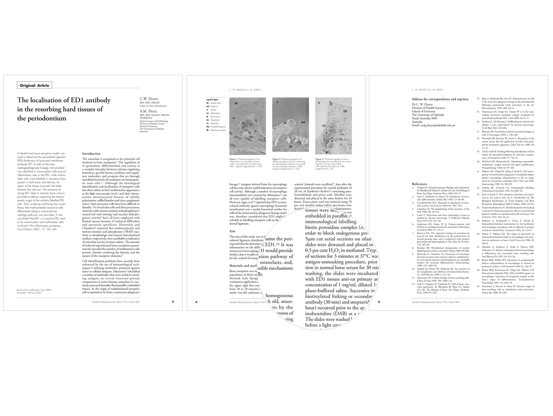  INTERNAL PAGES OF JOURNAL CLIENT: The Australian Society of Orthodontists BRIEF: Design and production of internal pages, an exacting job with detailed and accurate typesetting required. 