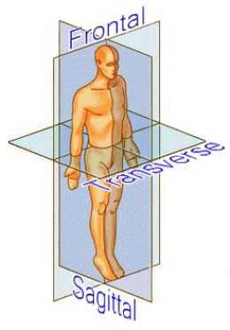 A visual depiction of the planes of motion. Forward and backward movement occur in the sagittal plane, side to side movement in the frontal plane, and rotational movement in the transverse plane. Although these planes are depicted as separate, all human movement has components in all 3 planes of motion. 