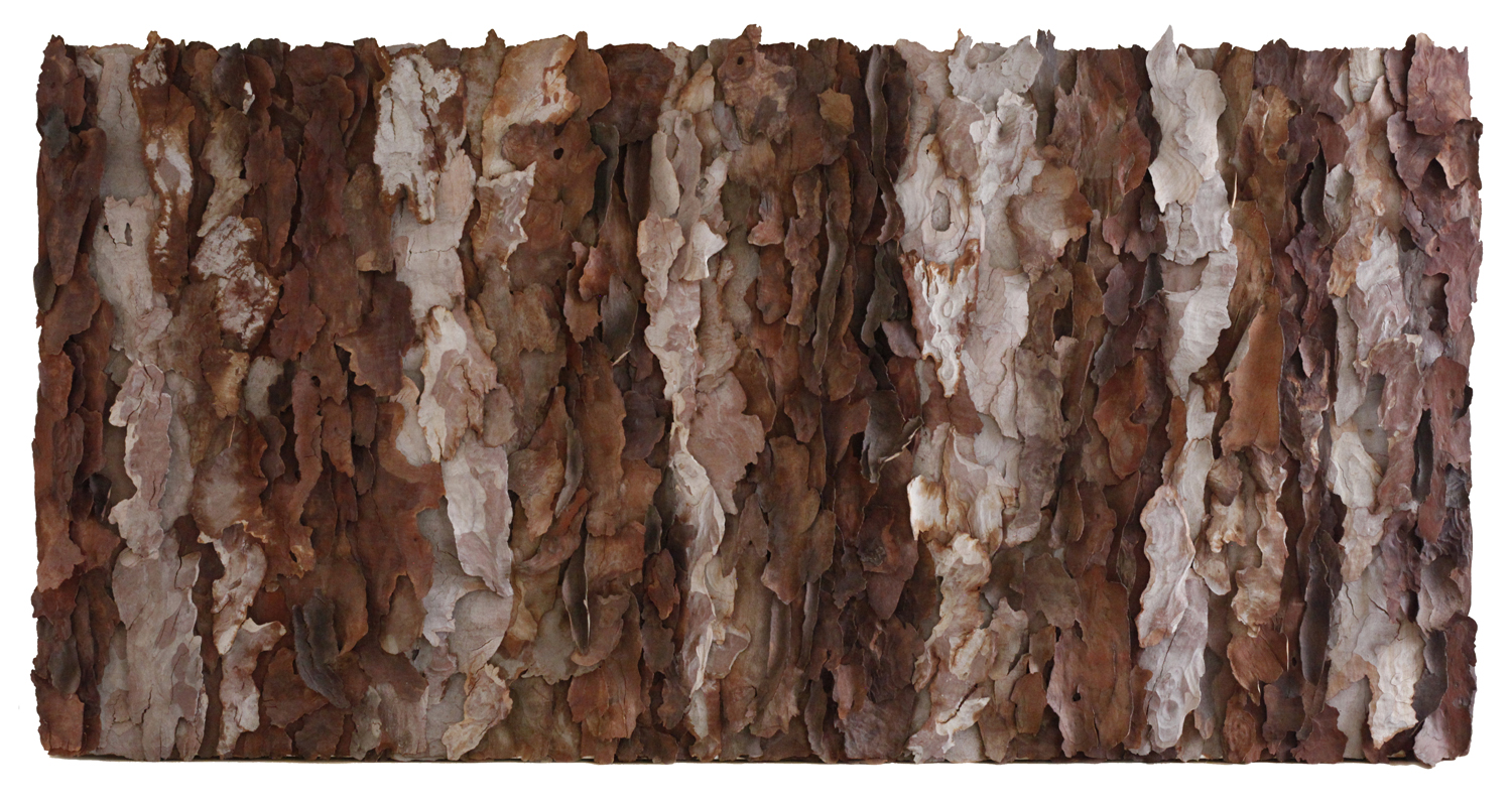   Grande Monte Mar ll  tree bark on canvas 72" x 36" &nbsp; 