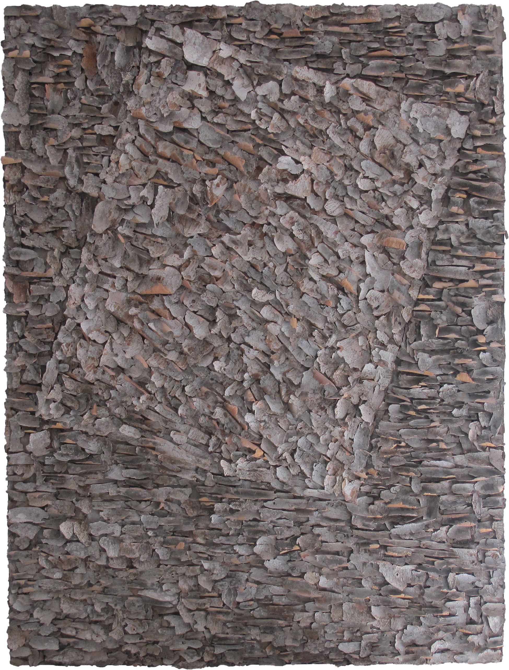   Nesting  bark on canvas 36” x 48” 