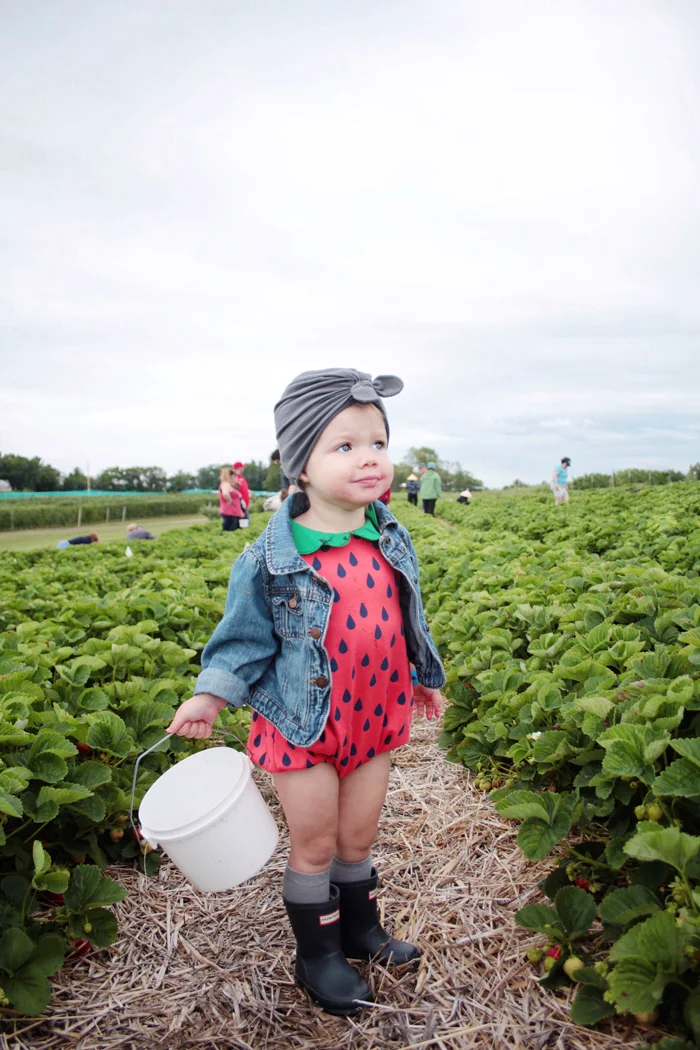strawberries1.jpg