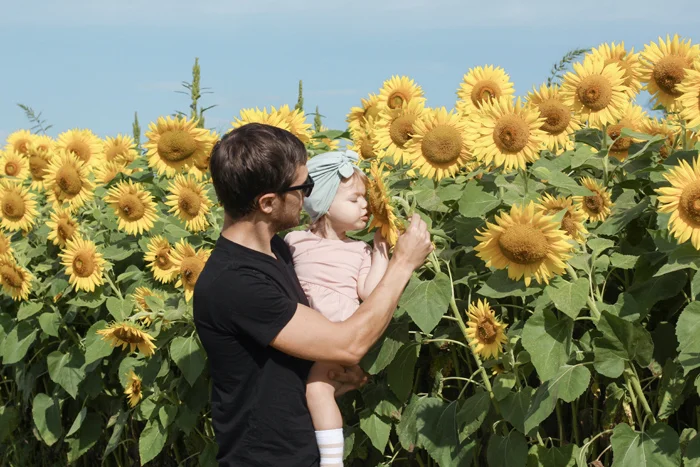 2018sunflowers4.jpg