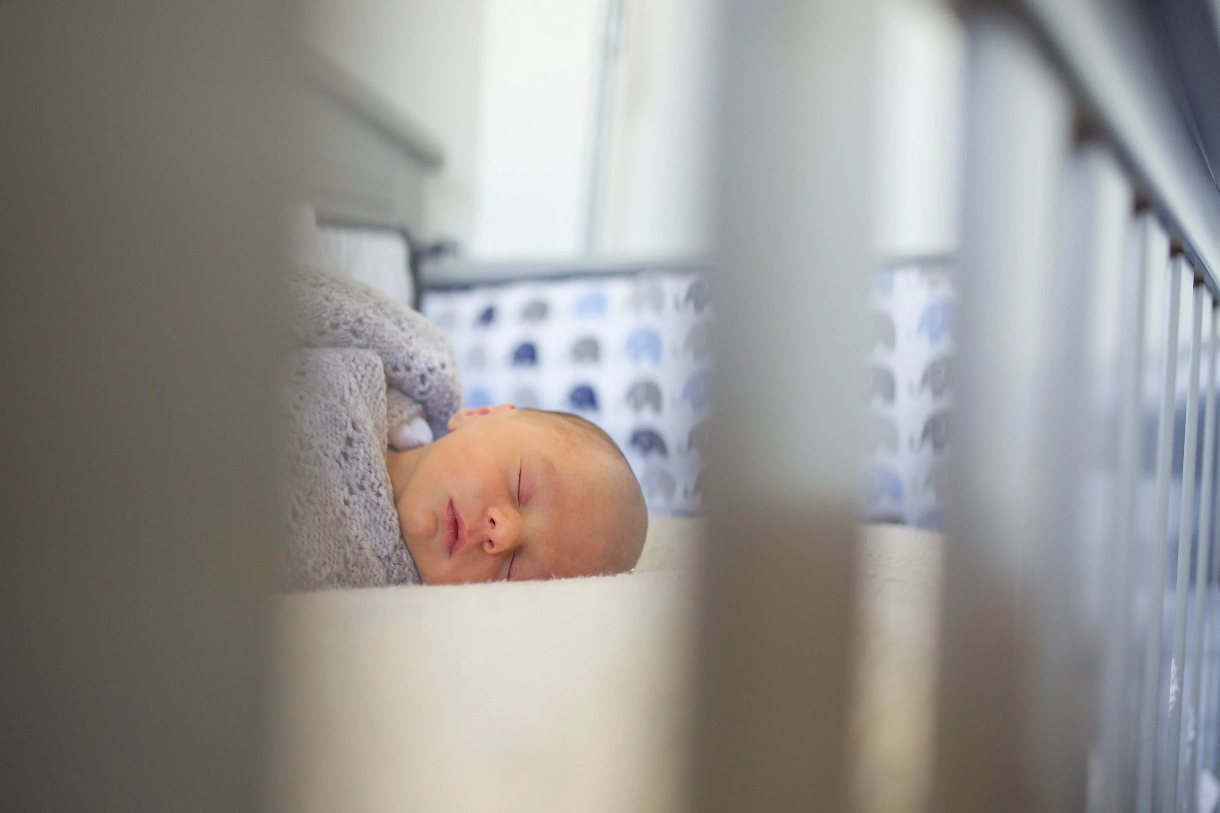 cici newborn for web-3.jpg