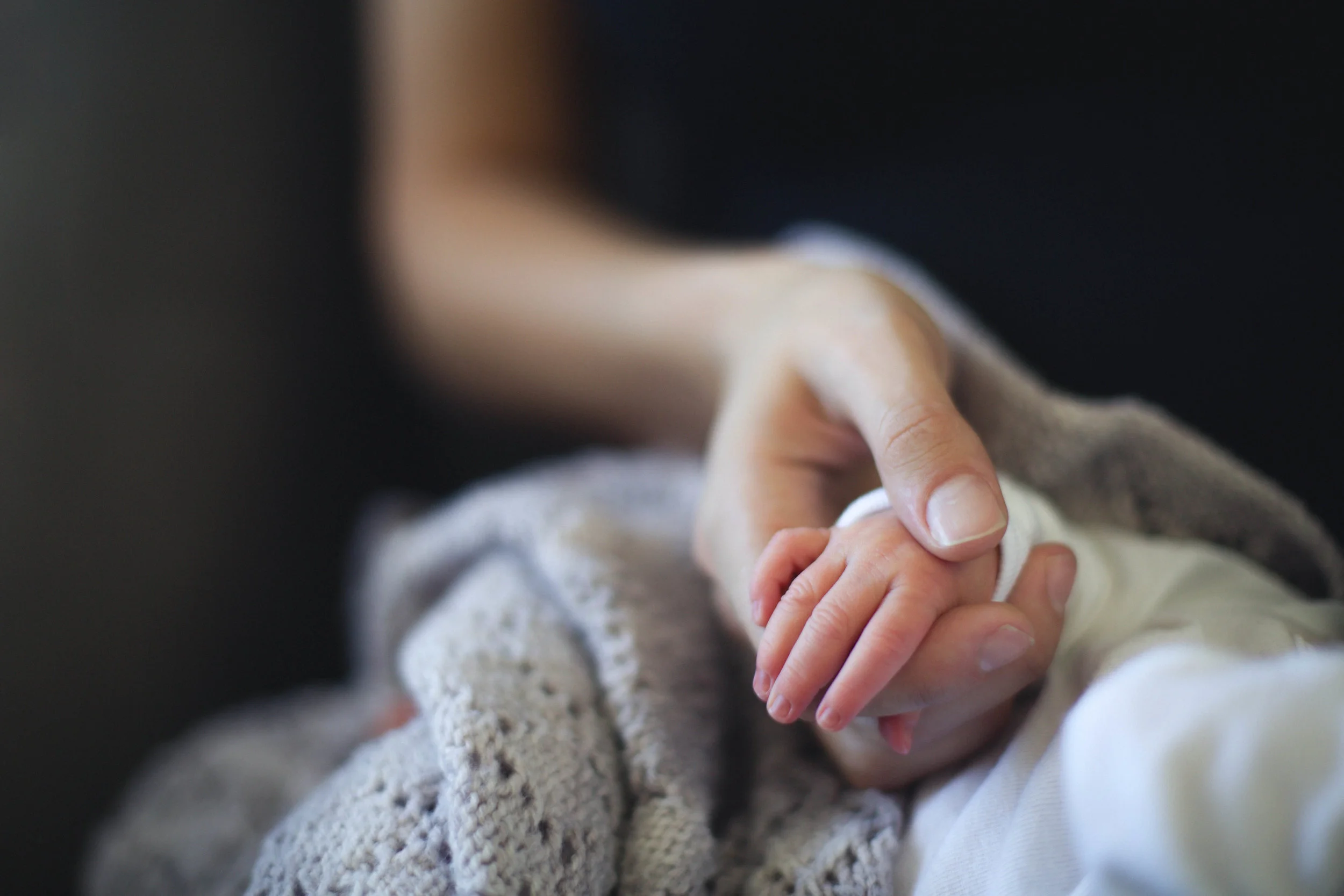 cici newborn for web-5.jpg