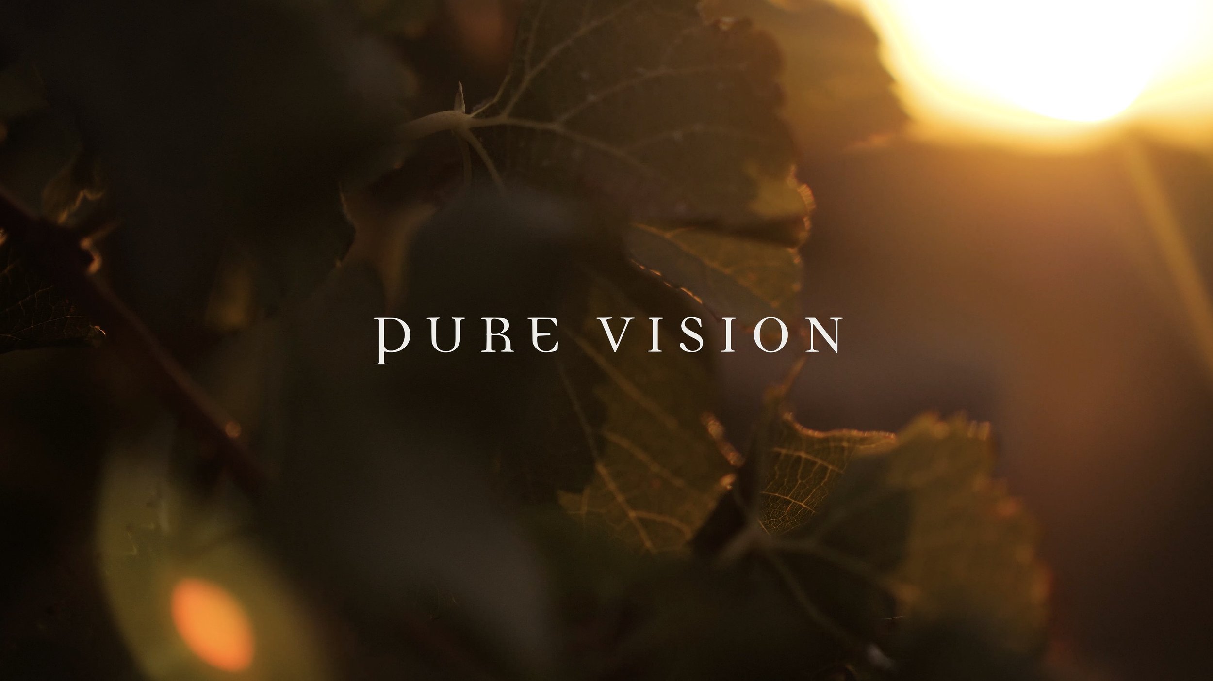 Pure Vision Wines Story v2.0