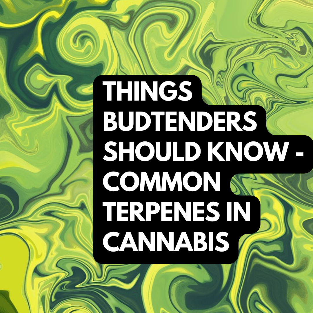 Things Budtenders Should Know - Common Terpenes in Cannabis
