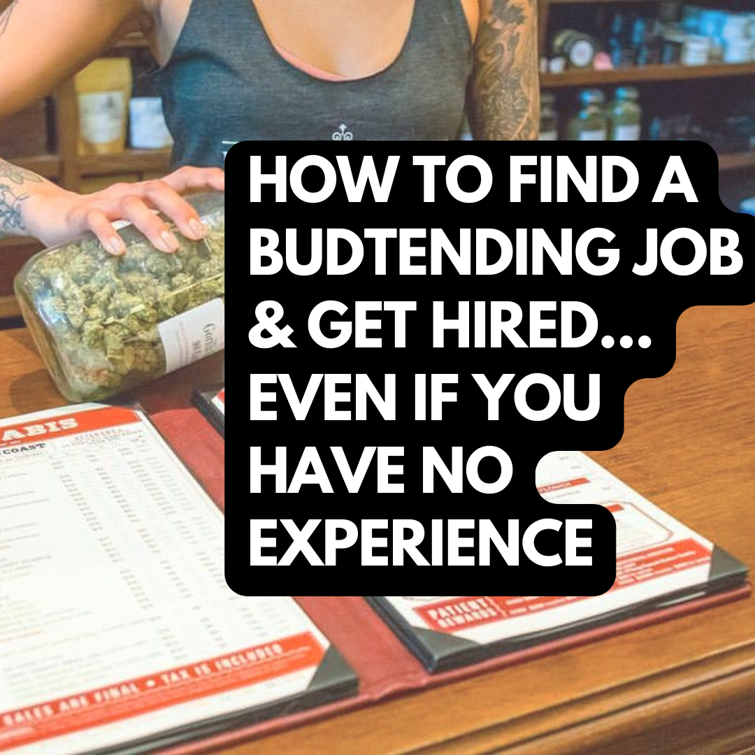 Do You Need To Take a Budtender Certification Course or Pay for an Online Cannabis Class to Get a Job at a Dispensary?