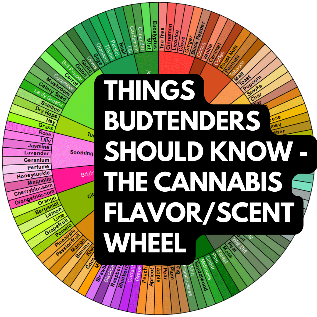 Things Budtenders Should Know - Common Terpenes in Cannabis (6).png
