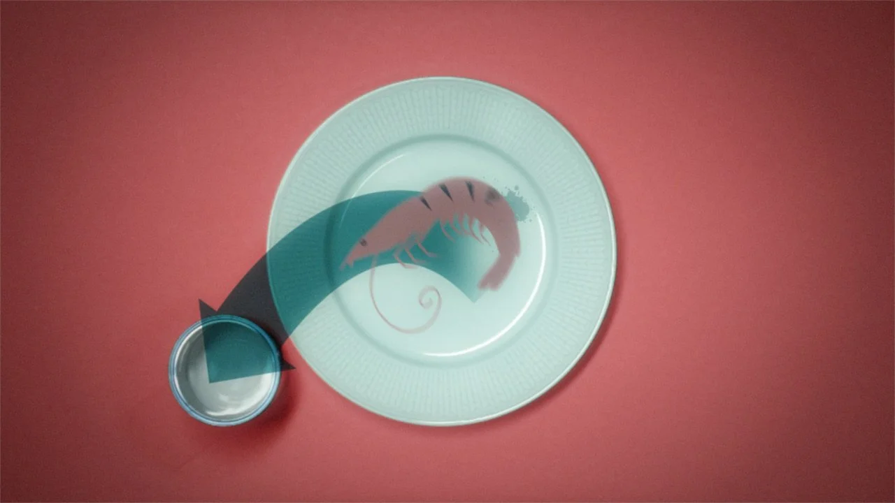   AntiScampi - Svensk version  