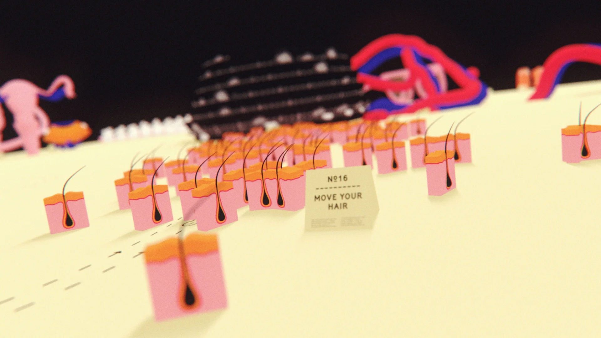 IA_JSRF_MIX_03718.jpg