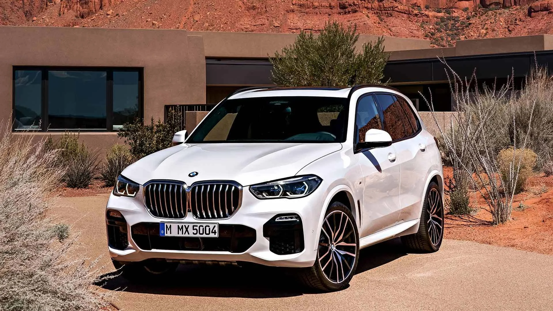 2019-bmw-x5 (2).jpg