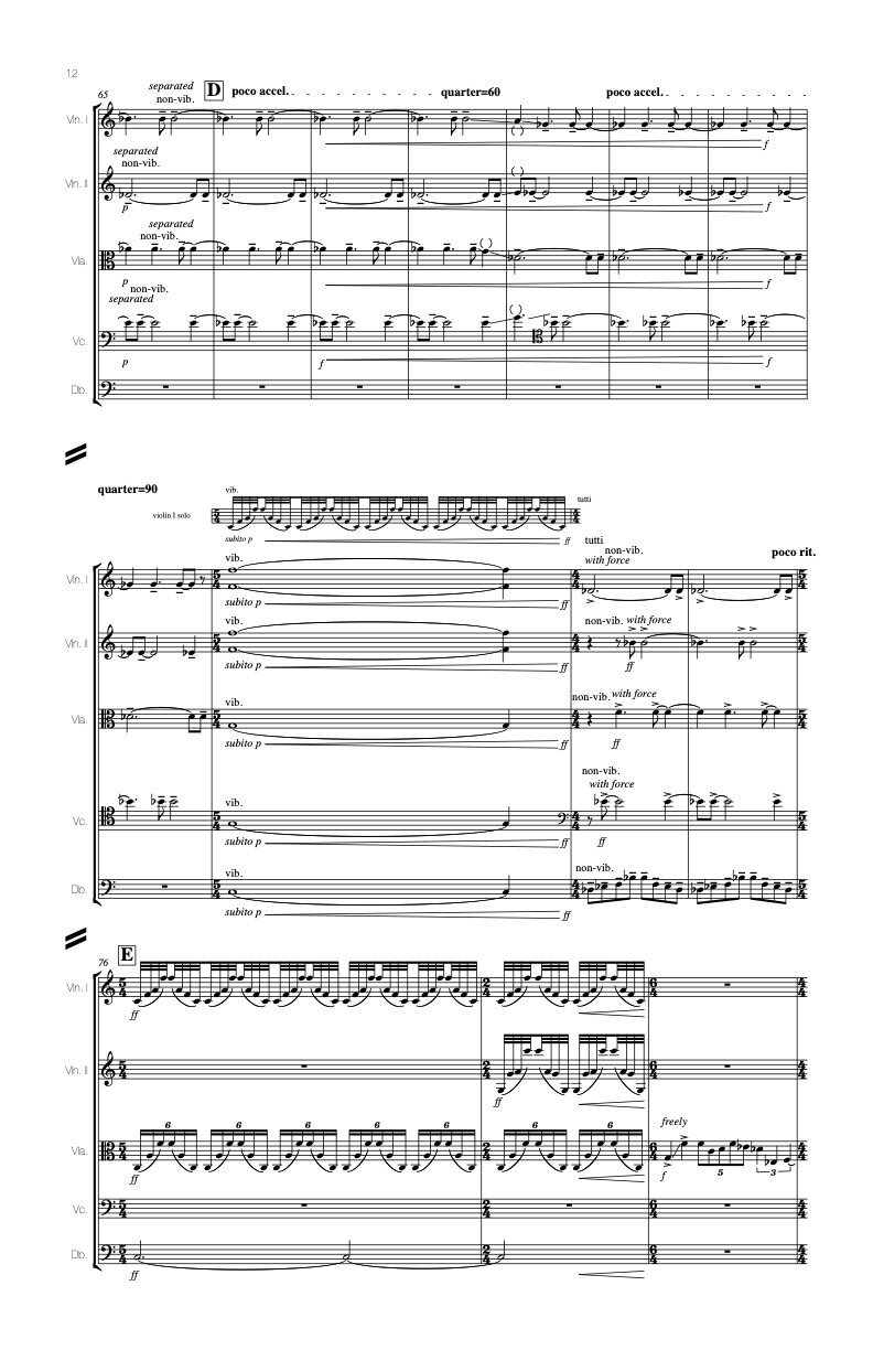 w(e)aving for string orchestra sample page.jpg