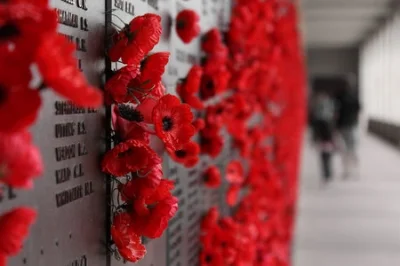 poppies.jpg